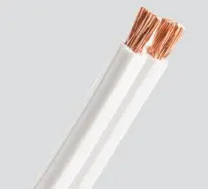 DUPLEXCON 2X10